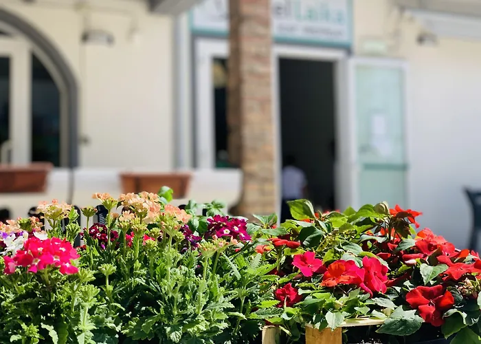 Hotel Laika Rimini